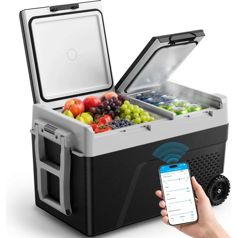 Feelfunn 12V Refrigerator 40QT Dual Zone Portable Freezer, Black